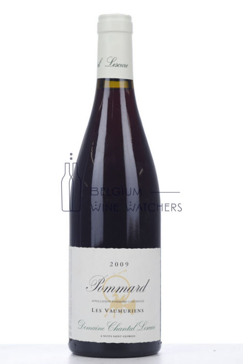 Picture of 2009 POMMARD LES VAUMURIENS